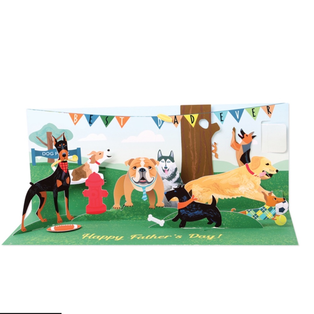 Panoramic  FATHER's DAY Pop-Up Greeting Card DOG PARK